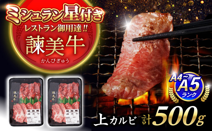 【特Aのブランド米で育てた】諫美牛 上カルビ 500g(250g×2) / 牛肉 ぎゅうにく 和牛 肉 焼肉 やきにく 国産 カルビ かるび / 諫早市 / 株式会社土井農場 [AHAD101]