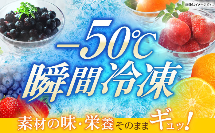 長崎冷果6袋セット（いちご・みかん・ブルーベリー）各2袋　/　冷凍　冷凍フルーツ　いちご　みかん　ブルーベリー　/　諫早市　/　エスジーエス株式会社 [AHEQ001]