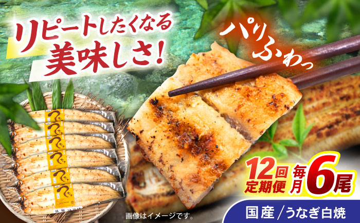【12回定期便】【諫早淡水】うなぎ白焼き6尾  / うなぎ 白焼き 栄養価 小分け 冷凍 / 諫早市 / 諫早淡水 [AHAT053]