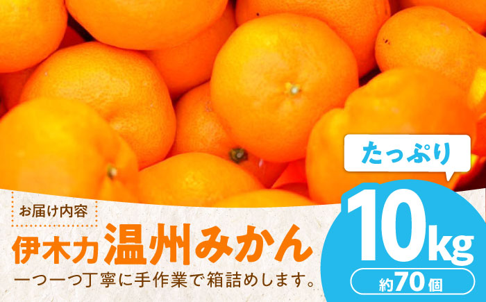 ※【2027年1月より順次発送／先行予約】伊木力温州みかん 10kg（ご家庭用）/ みかん ミカン 蜜柑 フルーツ 果物 / 諫早市 / 末永果樹園 [AHBD001]