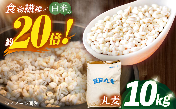 長崎県産 丸麦 10kg / 麦 むぎ 雑穀 雑穀米 麦ごはん 麦飯 麦みそ 食物繊維 / 諫早市 / 有限会社伊東精麦 [AHBU005]