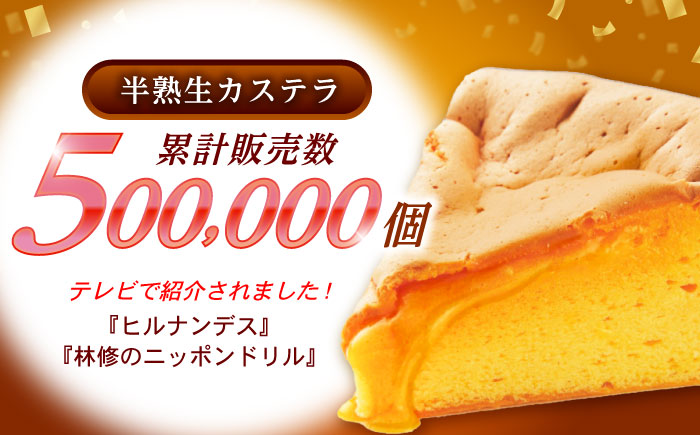 半熟生カステラ3個(プレーン・メープル・ショコラ)×3セット / カステラ かすてら 卵 人気 長崎 / 諫早市 / 株式会社菓秀苑森長 [AHAG008]