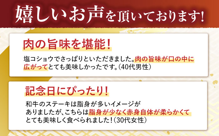 「11/30までの申込で年内にお届け！」極上 ヒレ ステーキ 300g（150g×2枚） / ヒレステーキ 長崎和牛 A4〜A5ランク 希少部位 / 諫早市 / 野中精肉店 [AHCW004]