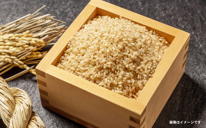 〈令和7年産新米〉【轟峡渓流米】玄米(にこまる) 玄米 新米 米 5kg / 諫早市 / 轟名水ファーム高来 [AHFF008]