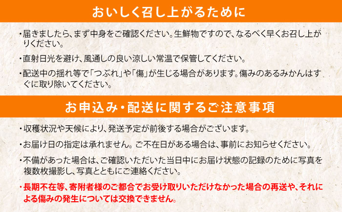 ※【2027年1月より順次発送／先行予約】伊木力温州みかん 10kg（ご家庭用）/ みかん ミカン 蜜柑 フルーツ 果物 / 諫早市 / 末永果樹園 [AHBD001]