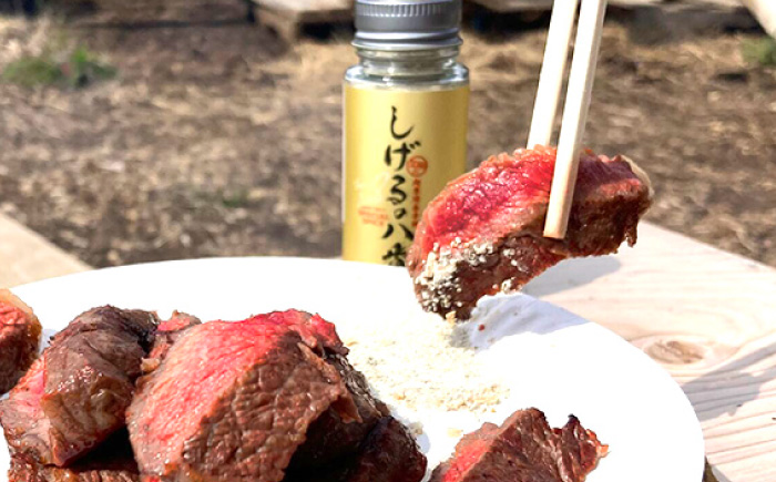 しげるの八番3本セット / スパイス 肉 オニオン にんにく 胡椒 唐辛子 / 諫早市 / 株式会社飯盛グリーン開発 [AHCY001]