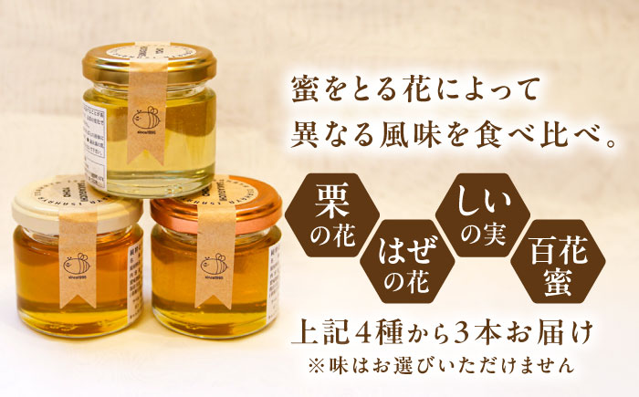 長崎県産天然はちみつ80g×3本セット / 百花蜜 百花蜂蜜 蜂蜜 はちみつ ハチミツ / 諫早市 / 坂口養蜂 [AHDB004]