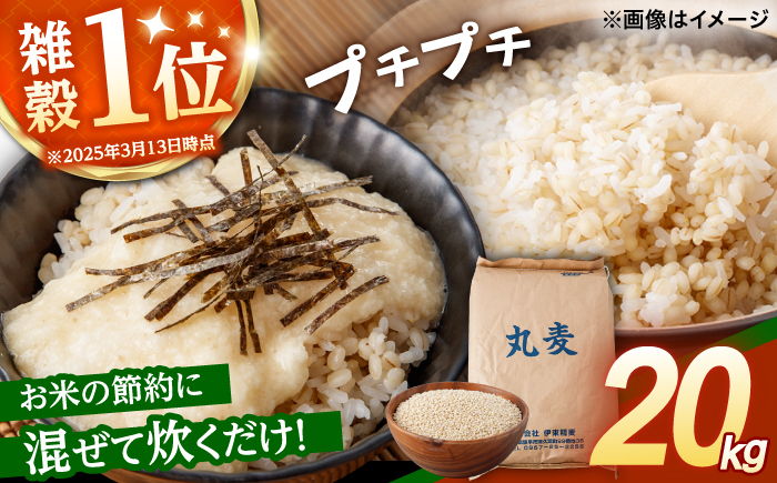 丸麦 (長崎県産) 20kg / 麦 むぎ 雑穀 雑穀米 麦ごはん 麦みそ 麦味噌 食物繊維 長崎県産 米 こめ コメ ※ / 諫早市 / 有限会社伊東精麦 [AHBU001]