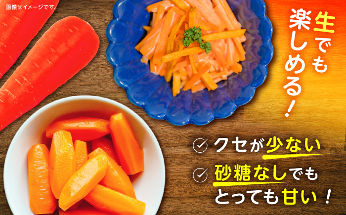 【甘みと栄養たっぷり！】真っ赤な人参「紅天神」 5kg / にんじん ニンジン 人参 carrot やさい 野菜 にんじんジュース 人参ジュース ニンジンジュース キャロット キャロットジュース / 諫早市 / 滝商店株式会社 [AHCU008]