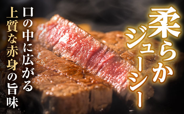 極上 ヒレステーキ 450g(150g×3枚) / ヒレ ヒレステーキ ヒレ肉ステーキ ヒレ肉 長崎和牛 A5 希少部位 / 諫早市 / 野中精肉店 [AHCW158]