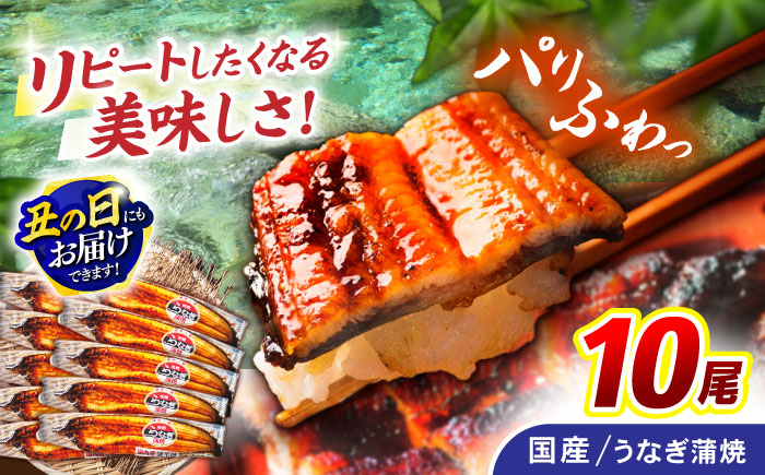 ＜諫早淡水＞うなぎ蒲焼 10尾 / うなぎ ウナギ 鰻 蒲焼き 蒲焼 かばやき 国産 冷凍 小分け うな重 うな丼 ひつまぶし / 諫早市 / 諫早淡水株式会社 [AHAT003] 丑の日 土用丑の日