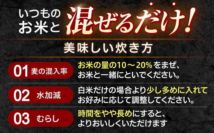 【隔月3回定期便】長崎県産 丸麦 10kg / 麦 むぎ 雑穀 雑穀米 麦ごはん 麦飯 麦みそ 食物繊維 長崎県産 米 こめ コメ ※ / 諫早市 / 有限会社伊東精麦 [AHBU006]