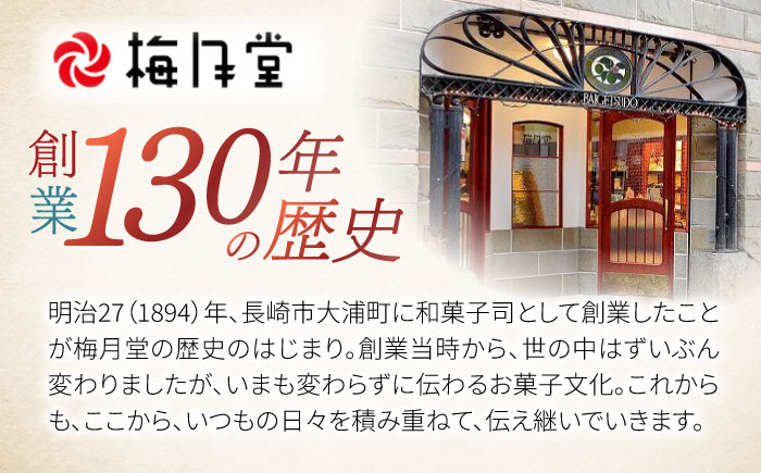 長崎ご当地スイーツシースクリームと半熟カステラ詰合せ / スイーツ シュークリーム カステラ かすてら 菓子 / 諫早市 / 株式会社梅月堂 [AHBN001] 