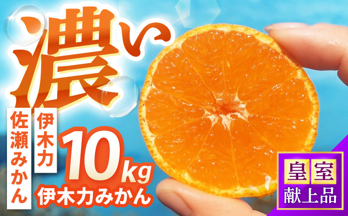 伊木力みかん 10kg / みかん ミカン 佐瀬みかん 伊木力みかん 濃い 温州みかん 薄皮 10kg / 諫早市 / 伊佐農園 [AHFI016]