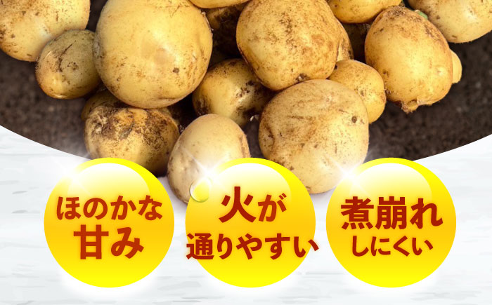 じゃがいも アイマサリ 5kg (S～2Lサイズ/約30～40個) / じゃがいも ジャガイモ ポテト 九州 あいまさり アイマサリ 野菜 やさい / 諫早市 / スマイルファーム　 [AHFG005]