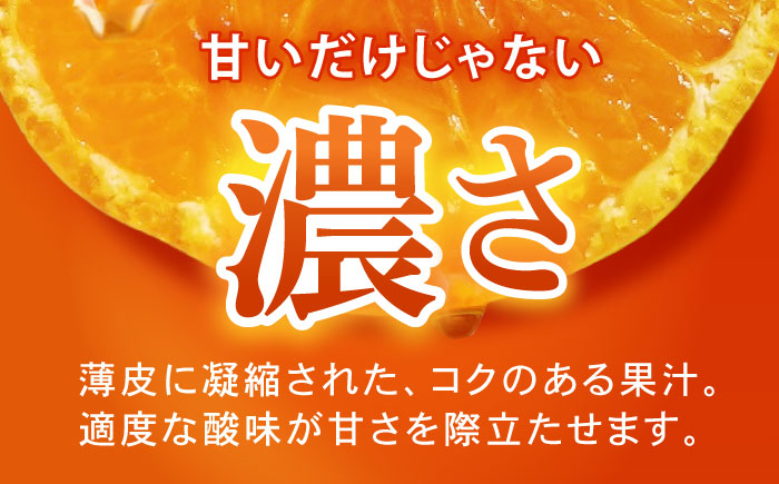 伊木力みかん 5kg / みかん ミカン 佐瀬みかん 伊木力みかん 濃い 温州みかん 薄皮 5kg / 諫早市 / 伊佐農園 [AHFI015]