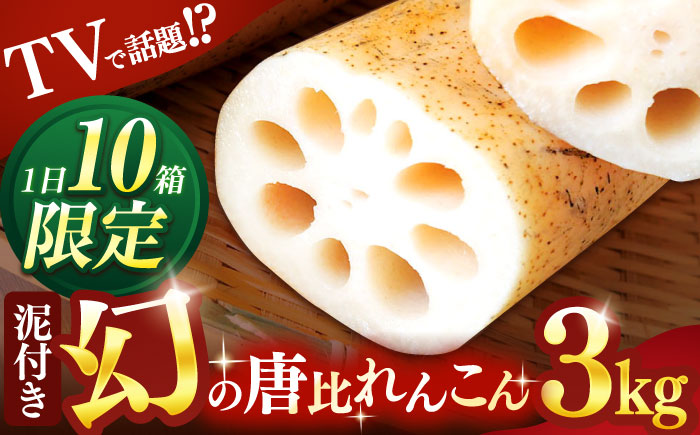 幻の唐比れんこん 3kg / れんこん レンコン 蓮根 野菜 やさい / 諫早市 / 農事組合法人スマイル・ライフ [AHCA003]