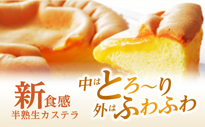 半熟生カステラ3個(プレーン・メープル・ショコラ)×5セット / カステラ かすてら 卵 人気 長崎 / 諫早市 / 株式会社菓秀苑森長 [AHAG009]