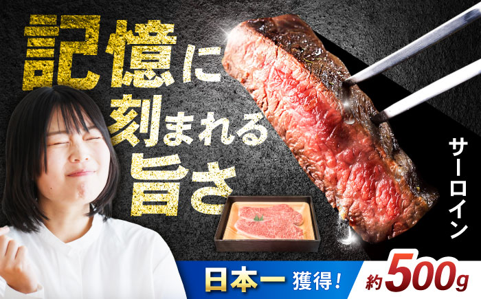 長崎和牛 サーロインステーキ 約250g×2枚 / 牛肉 和牛 国産牛 肉 ステーキ サーロイン / 諫早市 / 肉の牛長 諫早店 [AHEM001]