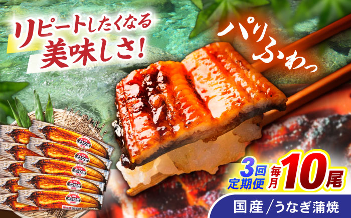 【3回定期便】【諫早淡水】うなぎ蒲焼10尾 / うなぎ ウナギ 鰻 蒲焼 たれ 老舗 / 諫早市 / 諫早淡水株式会社 [AHAT021]