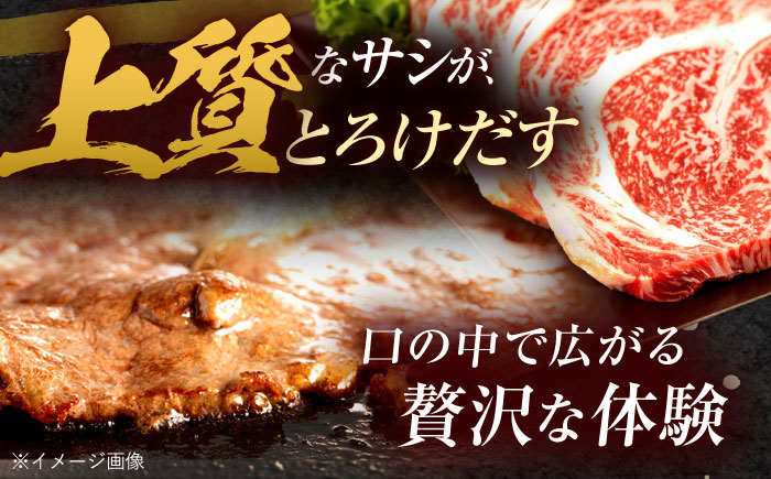 【6回定期便】長崎和牛 サーロインステーキ 600g（200g×3枚）/ 牛肉 ぎゅうにく 肉 和牛 国産牛 サーロイン ステーキ すてーき?/ 諫早市 / 西日本フード株式会社 [AHAV038]