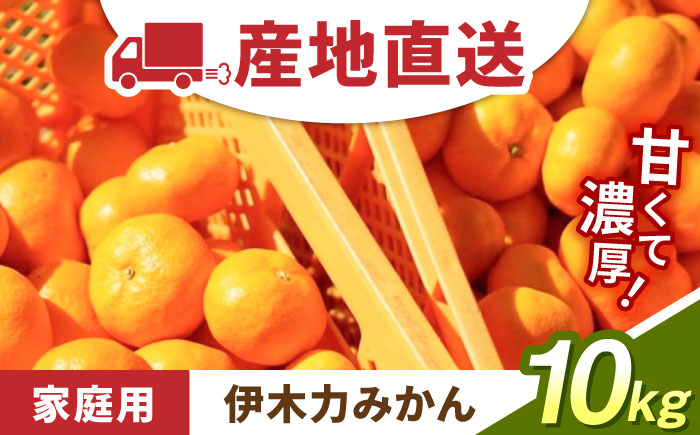 【先行予約】《伊木力みかん》家庭用みかん(10kg) / みかん ミカン 蜜柑 フルーツ 果物 / 諫早市 / 山野果樹園 [AHCF001]