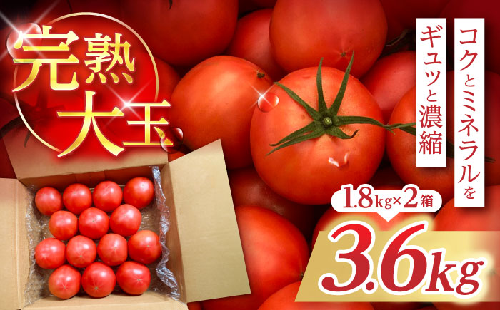 完熟大玉トマト 3.6kg(1.8kg×2) / トマト とまと tomato トマトジュース 野菜 やさい サラダ 完熟 甘い / 諫早市 / 菜食美農園 [AHFK001]