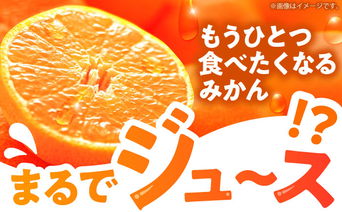 伊木力温州早生みかん10kg(ご家庭用、箱入り) / みかん 温州みかん 柑橘 蜜柑 ミカン 果物 / 諫早市 / 末永果樹園 [AHBD002]