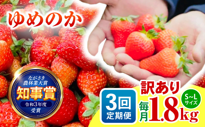 【3回定期便】訳あり いちご「ゆめのか」 S-Lサイズ 1.8kg / 訳あり 訳あり商品 訳あり果物 果物訳あり いちご イチゴ 苺 イチゴジャム / 諫早市 / むらたサービス [AHFA005]