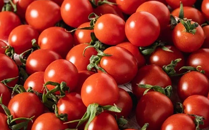 宮トマトジェラート 80ml×6個 / ジェラート トマト とまと アイス　アイスクリーム スイーツ / 諫早市 / 宮下農園 [AHCG032]