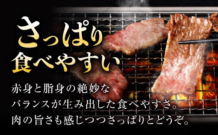 【味付き】 【柔らかさとコクの融合！】長崎和牛  A5 ハラミ 300g / 国産 牛肉 和牛 焼肉 はらみ / 諫早市 / 野中精肉店 [AHCW116]