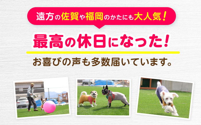 ドッグラン利用券(6回分) / ドッグラン 犬 施設 利用券 利用チケット 回数券 ペット / 諫早市 / 株式会社美泉 [AHAP041]