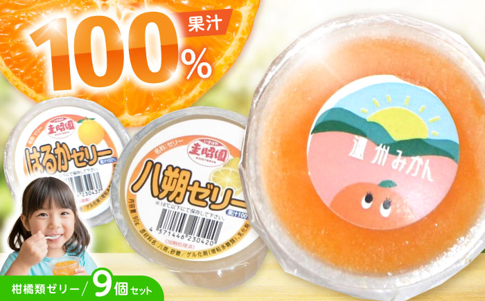 柑橘スムージーゼリー (3個×3種) 9個セット / ゼリー ぜりー 果汁ゼリー 柑橘 八朔 温州みかん はるか / 諫早市 / 圭昭園　 [AHAZ012]