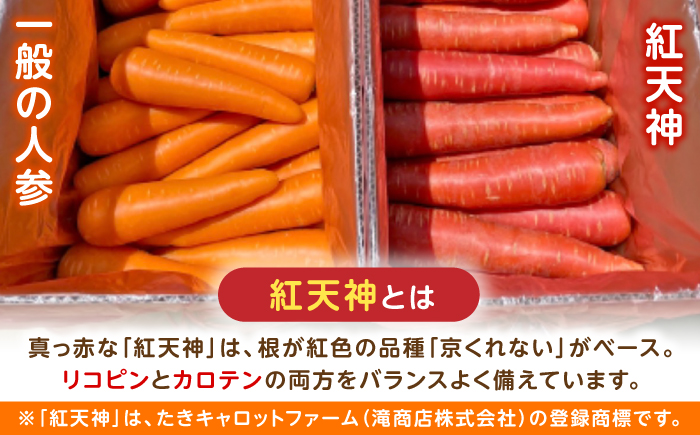 【甘みと栄養たっぷり！】真っ赤な人参「紅天神」 5kg / にんじん ニンジン 人参 carrot やさい 野菜 にんじんジュース 人参ジュース ニンジンジュース キャロット キャロットジュース / 諫早市 / 滝商店株式会社 [AHCU008]