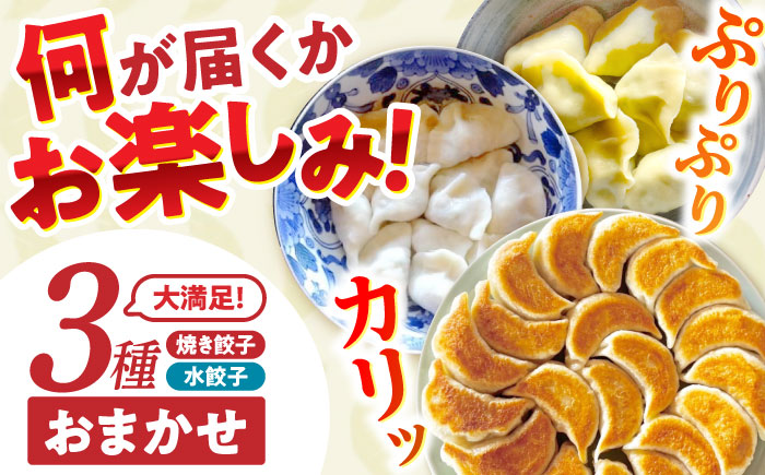 餃子 3種おまかせ便 / ギョウザ ぎょうざ 餃子 焼餃子 水餃子 冷凍 / 諫早市 / 餃子のかわしも [AHBM004]