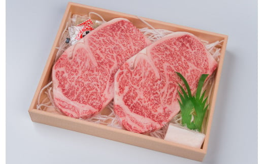 【2回定期便】A5ランク サーロインステーキ 2枚計400g / 長崎県産 長崎和牛 牛肉 和牛 牛 サーロイン ステーキ / 諫早市 / 焼肉おがわ [AHCD006]