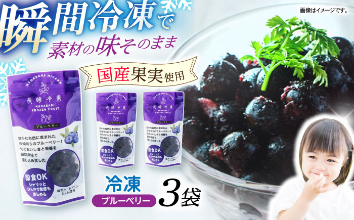 長崎冷果 ブルーベリー 3袋セット　/ 冷凍 冷凍フルーツ ブルーベリー ベリー / 諫早市 / エスジーエス株式会社 [AHEQ004]