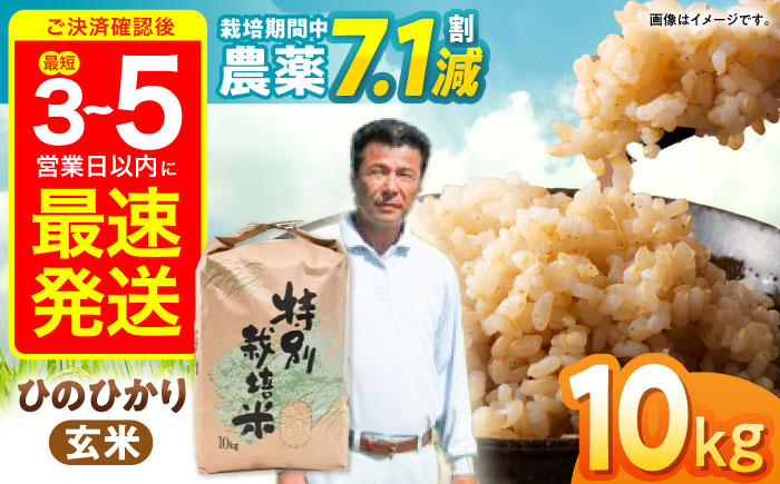 【R7年産】九州のこだわり「ひのひかり」玄米 10kg / 米 おこめ お米 玄米 ひのひかり / 諫早市 / 上島農産 [AHAS004]