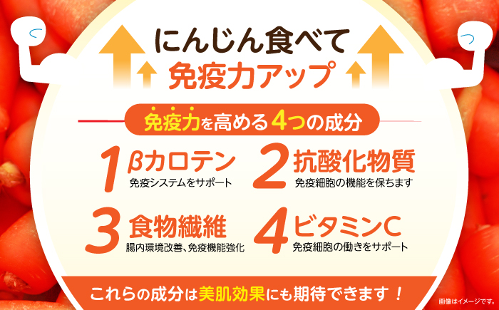 【甘みと栄養たっぷり！】真っ赤な人参「紅天神」 5kg / にんじん ニンジン 人参 carrot やさい 野菜 にんじんジュース 人参ジュース ニンジンジュース キャロット キャロットジュース / 諫早市 / 滝商店株式会社 [AHCU008]