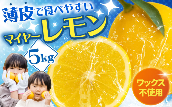 ※【2026年12月上旬より順次発送／先行予約】【ワックス不使用】国産 マイヤーレモン 5kg / レモン れもん 檸檬 フルーツ 果物 / 諫早市 / 山野果樹園 [AHCF004]
