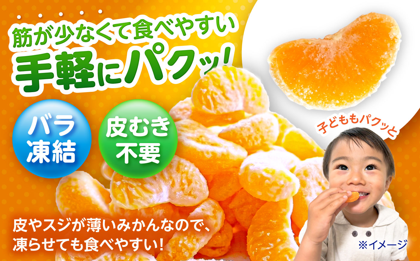 【訳あり】伊木力温州みかんの冷凍みかん 130g×8 / 伊木力 温州みかん みかん ミカン 蜜柑 冷凍 冷凍みかん 冷凍ミカン 佐瀬 諫早 多良見 長崎 / 諫早市 / 末永果樹園 [AHBD005]