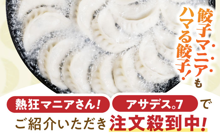 【3回定期便】《餃子のかわしも》かわしも焼き餃子お徳用45個入りパッケージ [AHBM006]