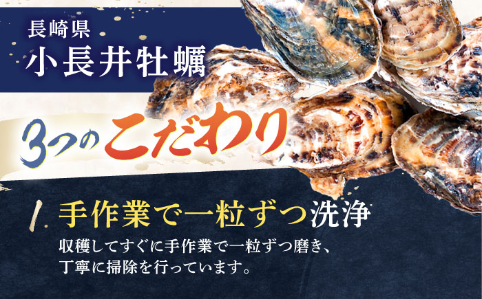 小長井牡蠣（殻付き）3kg 牡蠣ナイフ付き / かき カキ 牡蠣 海鮮 / 諫早湾漁業協同組合 [AHBJ005]