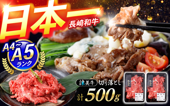 【特Aのブランド米で育てた】諫美牛 切り落とし 500g(250g×2) / 牛肉 ぎゅうにく 和牛 牛 肉 国産 切り落とし 切り落し 切りおとし / 諫早市 / 株式会社土井農場 [AHAD090]