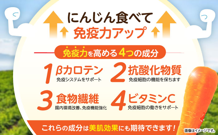 【甘みと栄養たっぷり！】 真っ赤な人参 「紅天神」 10kg / にんじん ニンジン 人参 やさい 野菜 / 諫早市 / 滝商店株式会社 [AHCU002]