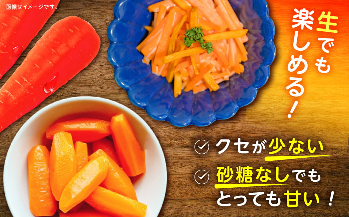 ※【2026年1月より順次発送／先行予約】【訳あり】【甘みと栄養たっぷり！】真っ赤な人参 「紅天神」 10kg / にんじん ニンジン 人参 やさい 野菜 訳あり 訳アリ わけあり ワケアリ / 諫早市 / 滝商店株式会社 [AHCU006]