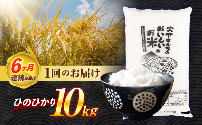 【6回定期便】長崎県認定特別栽培米ひのひかり10kg [AHCG025]