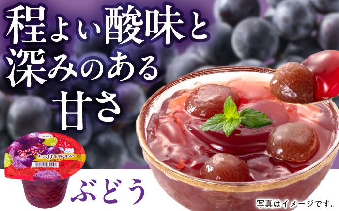 　【贈答用】 たらみ とろける味わい 詰め合わせ 12個セット( みかん 白桃 ぶどう ミックス ) / ゼリー ぜりー フルーツゼリー 果実ゼリー 果物 フルーツ くだもの ミカン ブドウ 桃 食べ比べ / 諫早市 / 株式会社たらみ [AHBR033]