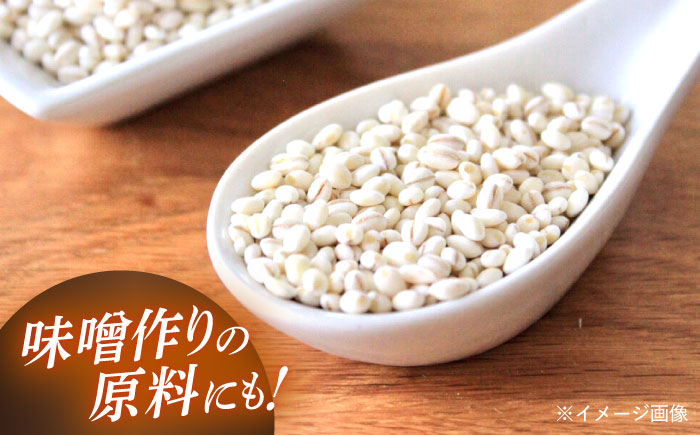 【全6回定期便】 長崎県産 丸麦 10kg / 麦 むぎ 雑穀 雑穀米 麦ごはん 麦飯 麦みそ 食物繊維 / 諫早市 / 有限会社伊東精麦 [AHBU007]