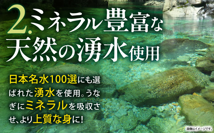 【3回定期便】数量限定【諫早淡水】特大うなぎ蒲焼2尾 / 鰻 特大 蒲焼き 蒲焼 国産 冷凍 / 諫早市 / 諫早淡水 [AHAT054]